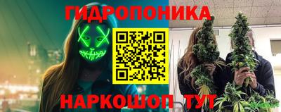 шишки Апрелевка