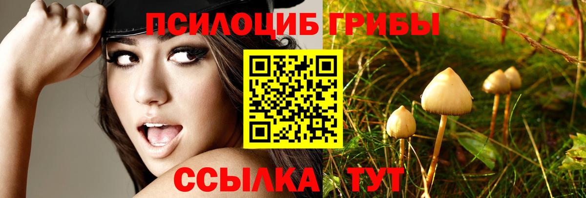 Псилоцибиновые грибы ЛСД  Галлюциногенные грибы GOLDEN TEACHER  Артём 