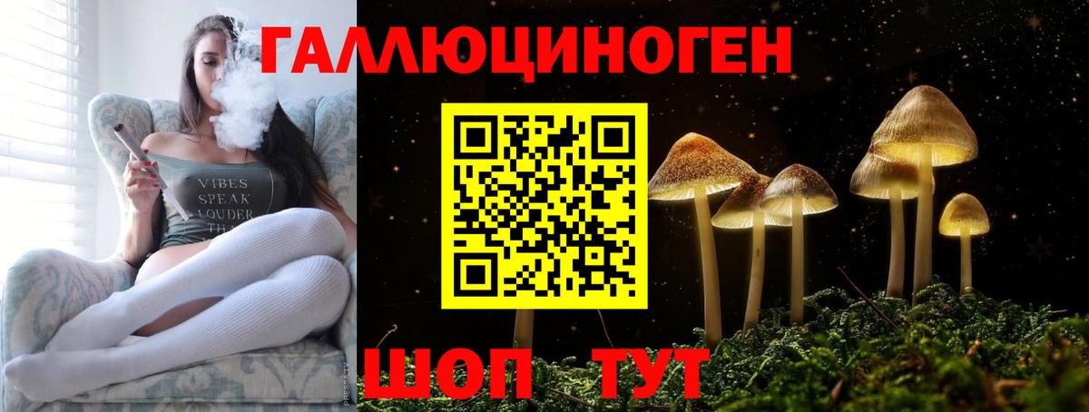 Артём  Псилоцибиновые грибы мицелий  Вход с VPN  наркотики  Псилоцибиновые грибы GOLDEN TEACHER 