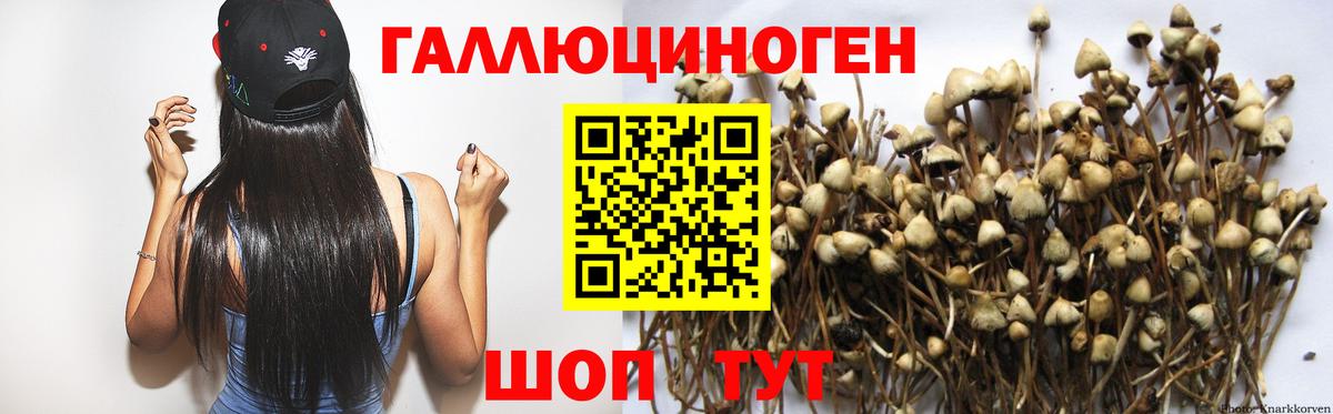Галлюциногенные грибы Cubensis Артём